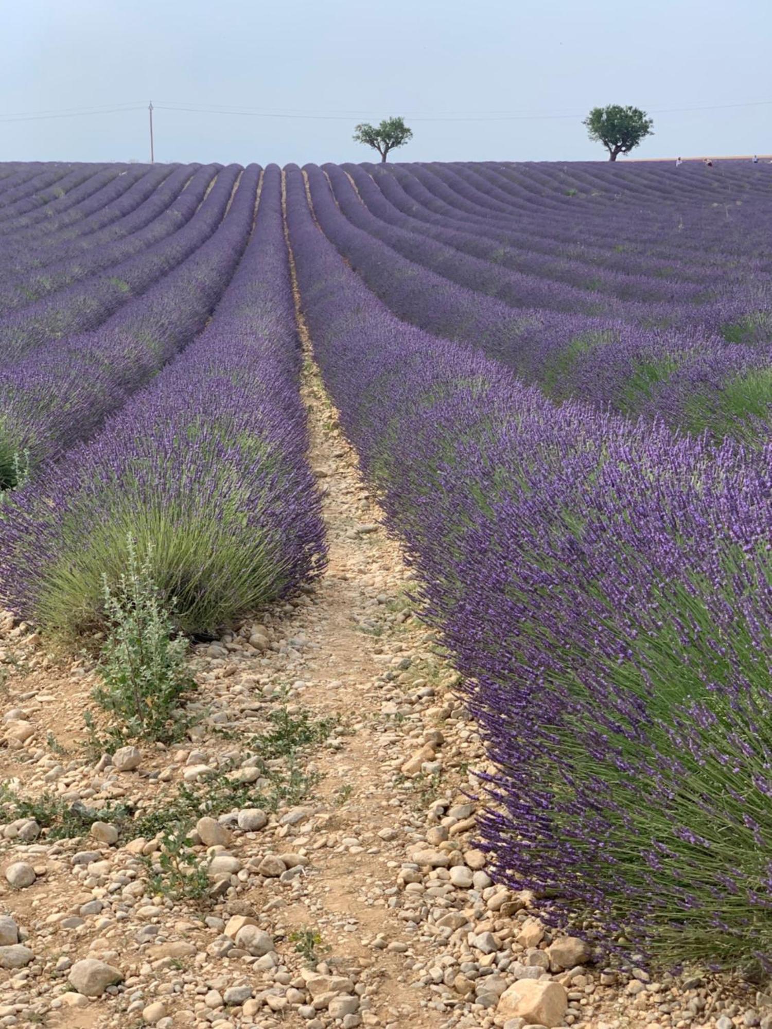 Studios Nuitee En Provence Αιξ-αν-Προβάνς Εξωτερικό φωτογραφία