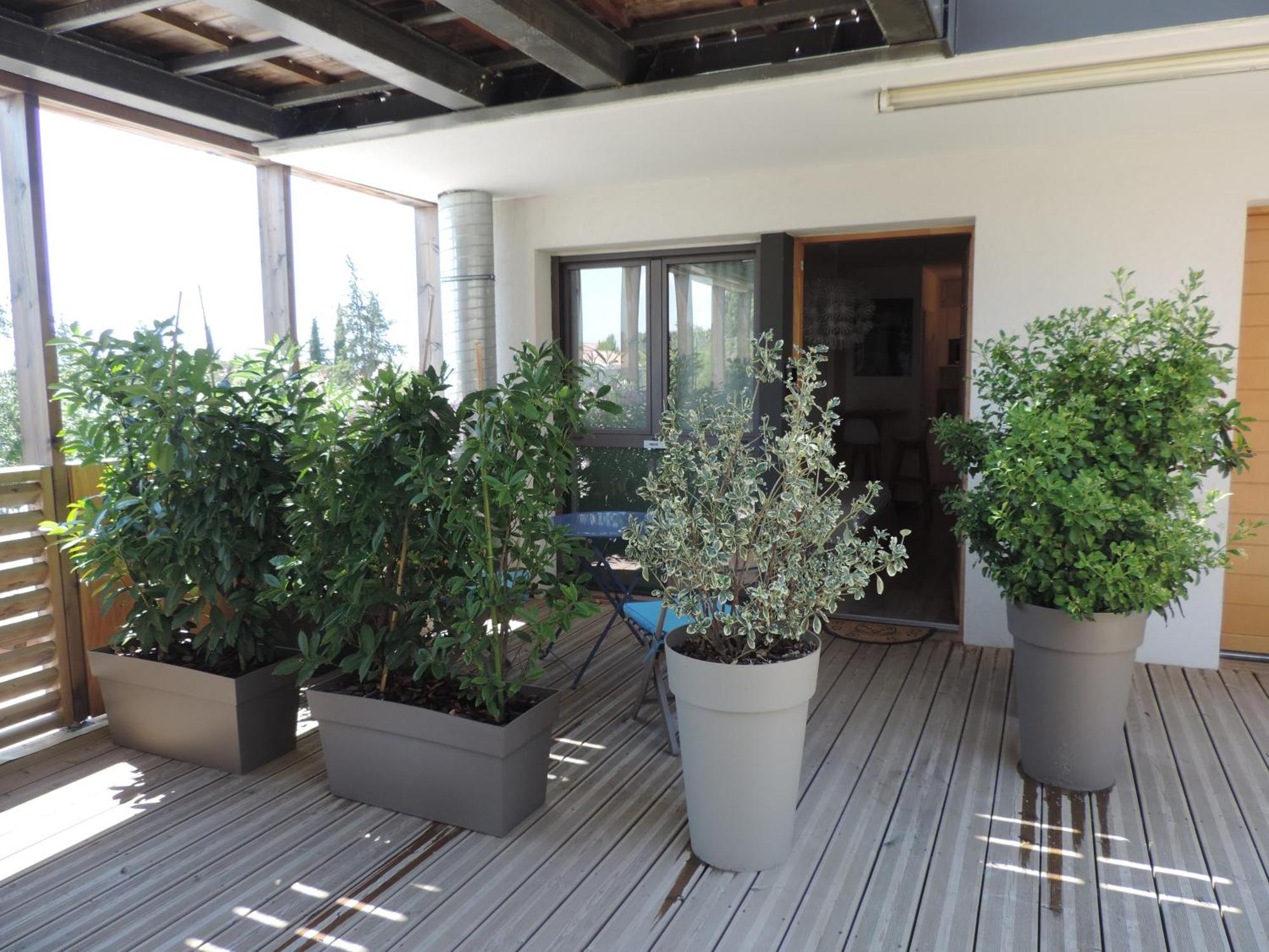 Studios Nuitee En Provence Αιξ-αν-Προβάνς Εξωτερικό φωτογραφία