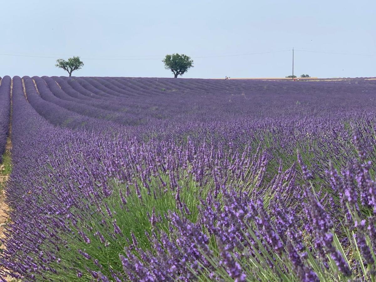 Studios Nuitee En Provence Αιξ-αν-Προβάνς Εξωτερικό φωτογραφία